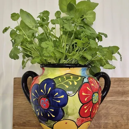 펜션 Casa Portao Da *